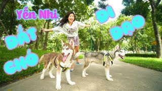 YẾN NHI CUỐI TUẦN DẮT 2 EM CÚN HUSKY ĐI DẠO CÔNG VIÊN
