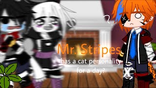 Mr. Stripes has a cat personality for a day? || Original ||
