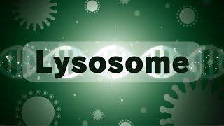【オリジナル曲】Lysosome / feat.巡音ルカ
