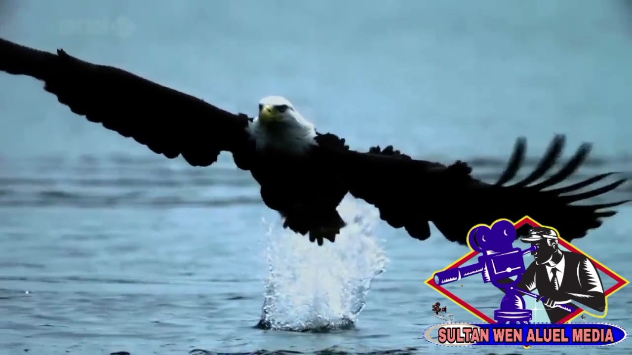 Wun e kuei by Angel Matition