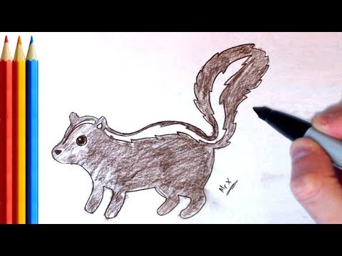 How to Draw skunk - Step by Step Tutorial - YouTube