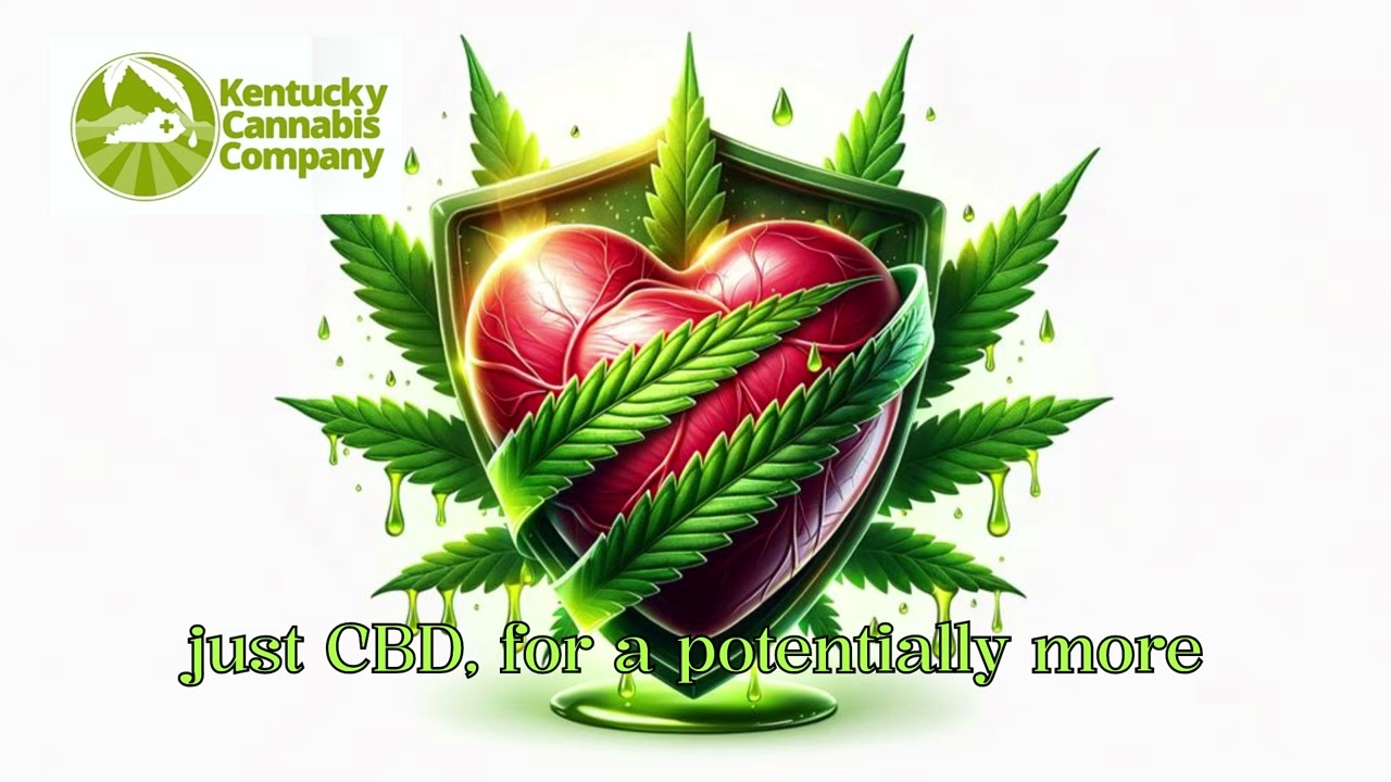 Heart Health and CBD | Why Does CBD Oil Enhance Cardiovascular Health?