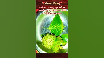 प्रदोष के दिन एक बेलपत्र, धतूरा,शमी पत्र,एक सफेद फूलऔर एक चावल के दाने का करे#panditmishrajikeupay