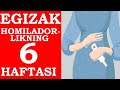 EGIZAK HOMILADORLIGINING 6-HAFTASI / ЭГИЗАК ХОМИЛАДОРЛИГИНИНГ 6-ХАФТАСИ