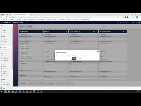 DQ for Dynamics™ Tutorial - Manual Tagging and Review of Duplicate Records