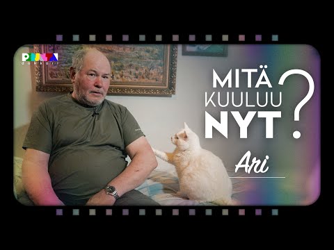 Video: Miten rakentaa kerrossänky koiralle