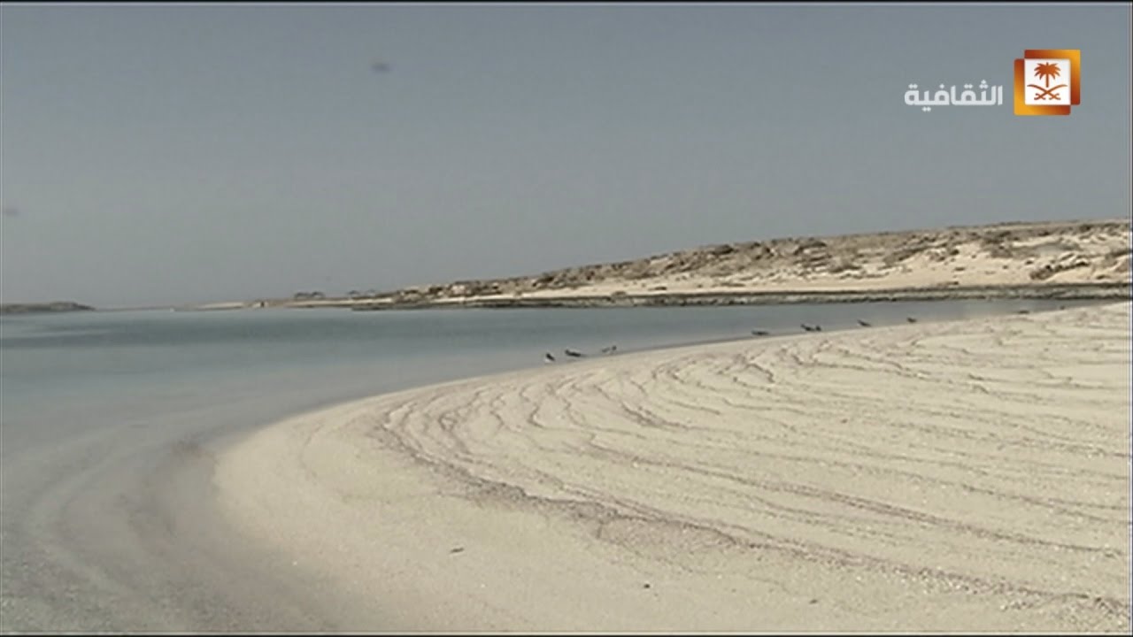 الثروة السمكية في جازان