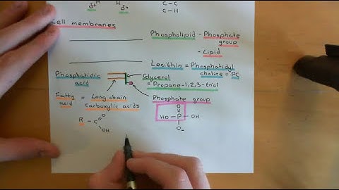 Cholesterol Metabolism Part 1