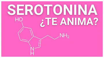Quantas moléculas de serotonina existem?