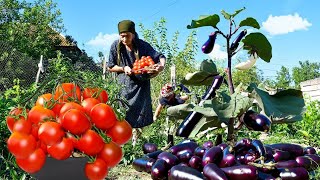 Harvesting Fresh Vegetables and Making Delicious Recipes | village life