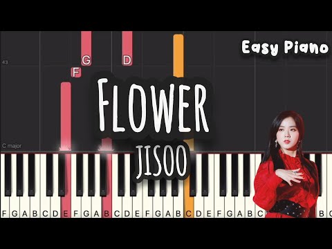 Flower (Easy Version) - Jisoo