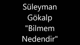 Süleyman Gökalp \