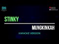 Stinky  mungkinkah karaoke version tanpa vokal