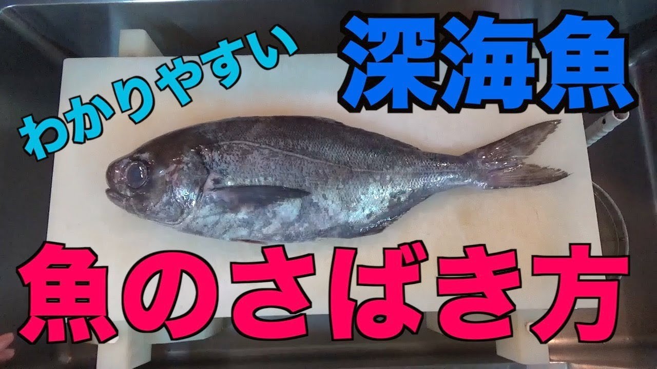 プロ 魚捌き方 目鯛 メダイ わかりやすい 深海魚 Youtube