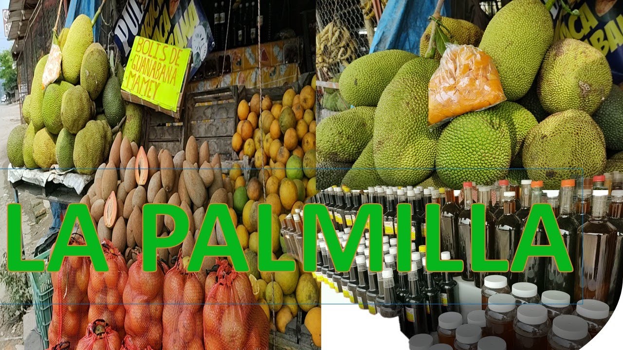 LA PALMILLA  Y SUS FRUTAS A ORILLA DE CARRETERA.