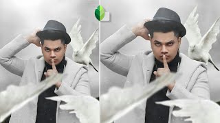 Snapseed Realistic Birds Photo Editing Tutorial || Birds Photo Editing Tutorial - BF Editz Army screenshot 1