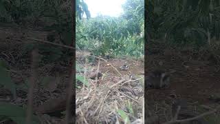 Download Lagu 28 Desember 2025 MP3