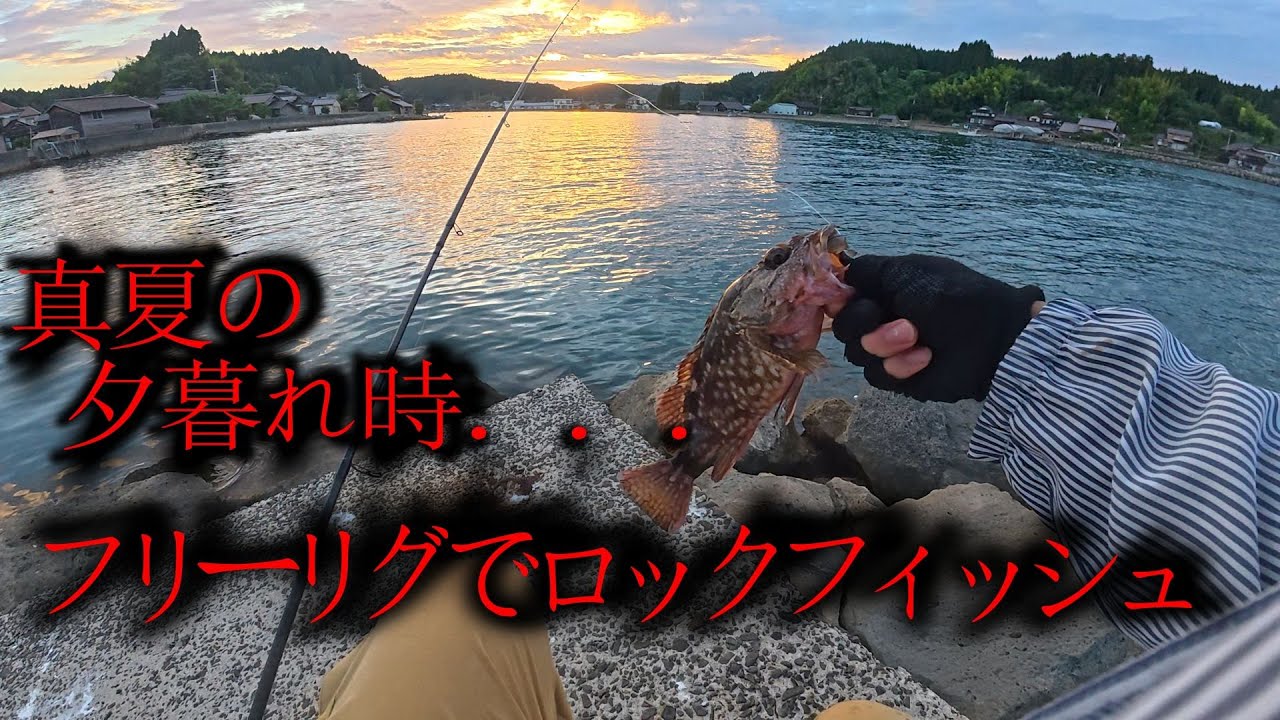 夏の夕暮れ時フリーリグでロックフィッシュ