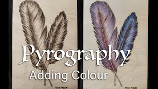 Adding Colour to Wood Burning? Pyrography Time-lapse | Feathers