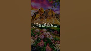 ولقد رآه نزلة أخرى عند سدرة المنتهى | وصف رحلة المعراج بصوت أحمد نعينع من سورة النجم