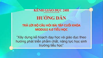Đáp án trọn bộ câu hỏi module 4.0 Tiểu học || GIÁO DỤC 24H