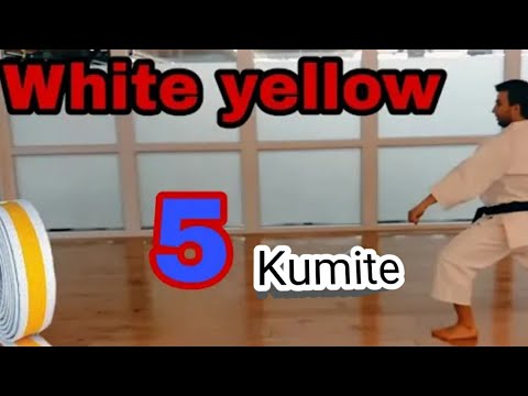 White Yellow Belt 5 تعلم الكاراتيه الكوميتي المطلوب في اختبار الحزام أبيض أصف 