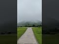 walk into nature mountain mist