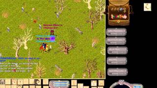 Attacked By Hidden Archers - Ultima Online