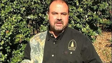 Ask the Arborist: Don