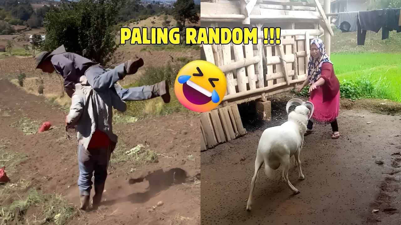 Video Random Warga Plus 62 Paling Ngakak 😭 Part 25