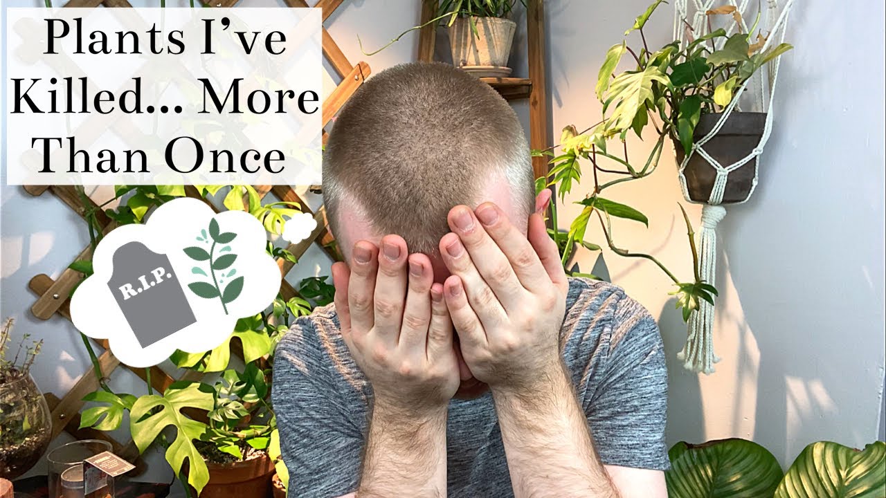 Plants I Have Killed... More Than Once YouTube
