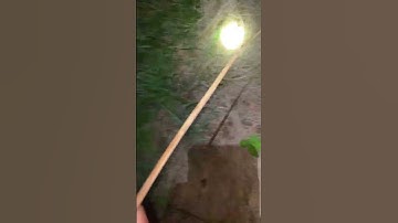 Cắm câu mồi dế dính cá trê trắng #fishing #food #nguoimientayomientrung