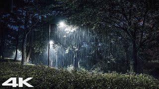 Sleep Immediately with Heavy Rain at Rainy Night - Deep Sleep To This Magic Sound ASMR