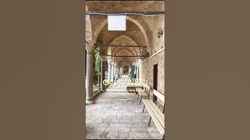 ن والقلم وما يسطرون🥀سورة القلم🍃ستوريات قران🌼حالات واتس قران🍃surah al Qalam