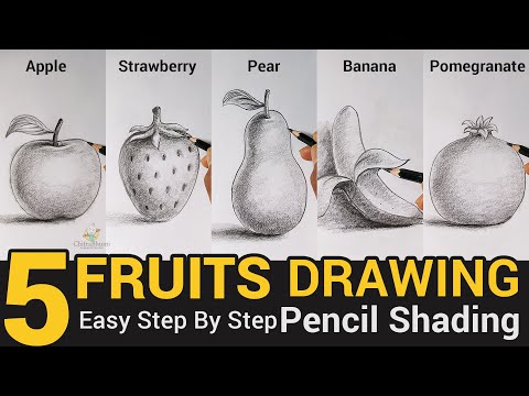 5 फल कैसे बनाएं | सेब, स्ट्रॉबेरी, नाशपाती, केला, अनार पेंसिल शेडिंग ड्रॉइंग के साथ