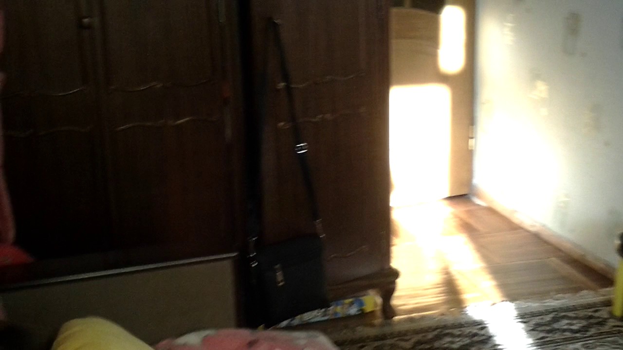 Песня ЭБЭЛИ ВАКИН ФЛАЙ - YouTube