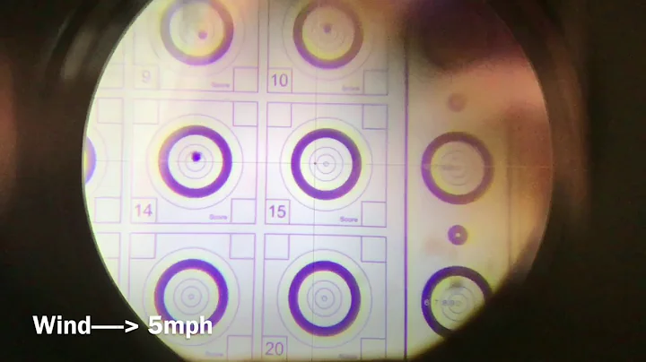 Rapid Air Weapons 25m Benchrest in the wind