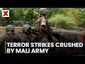 Mali Army Crushes Multi-City Terror Attacks, Claims Full Control After Response | NewsX World