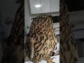 今日のジュニ君🦉