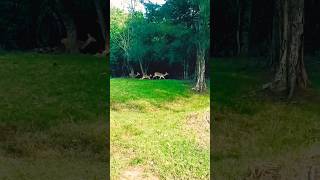 Bhitarkanika National Park