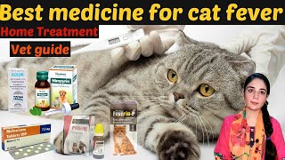 How to Manage Cat Fever?/ cat fever medicines / Best medicines for cat fever /Dr.Hira Saeed