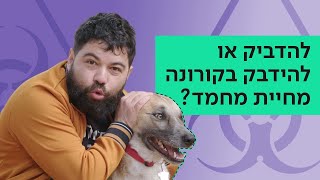 האם אפשר להדביק או להידבק בקורונה מחיית מחמד? | כאן קורונה