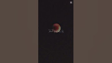 تلاوة مباركة لسورة القيامة
