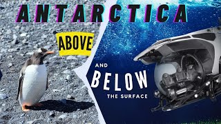 Antarctica Part 3: Above and below the surface, submersible dive on Seabourn Pursuit| Kinny & JJ