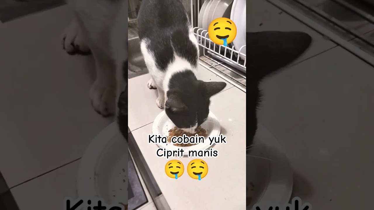 kita cobain yuk Ciprit ganteng