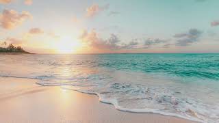 James Pallotta Profile