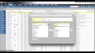 Field Set with Ab Ancestry Example screenshot 5