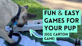 Fun & Easy Enrichment Games for Your Pup (The Egg Carton Game)