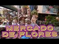 Mercado de las flores 2021 después de la pandemia #MadreSelva #Xochimilco #plantas