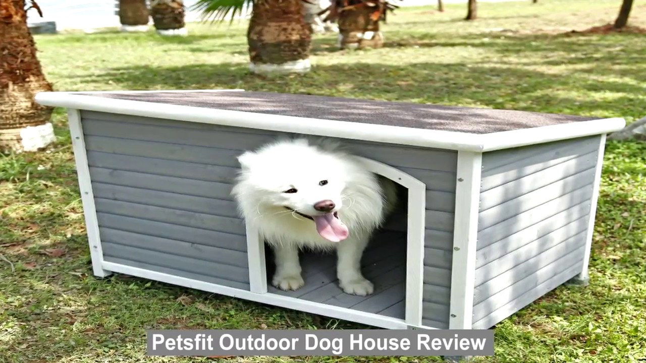 petsfit dog house